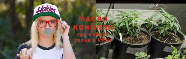 дживик Баксан