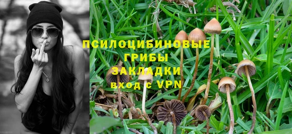 jwh Белокуриха