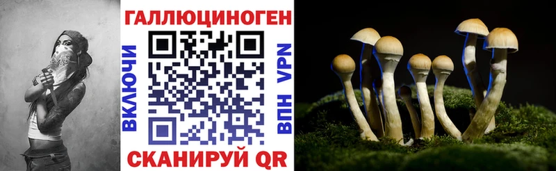 Галлюциногенные грибы MAGIC MUSHROOMS  Каргат 